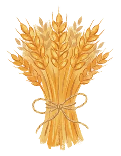 Good Source of Fiber