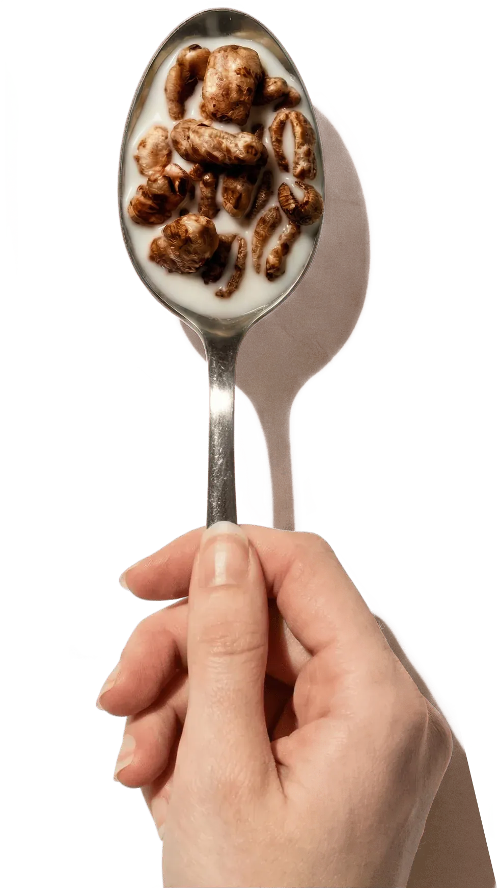 Organic Chocolate Puffs on a spoon