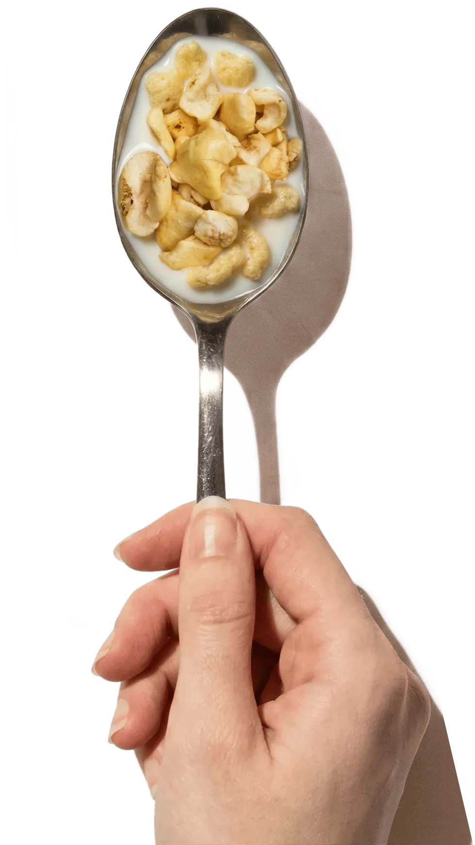 Organic Corn Puffs on a spoon