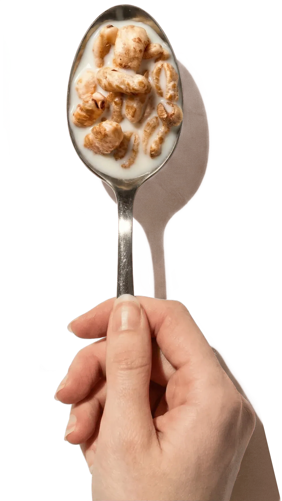 Organic Honey Puffs on a spoon